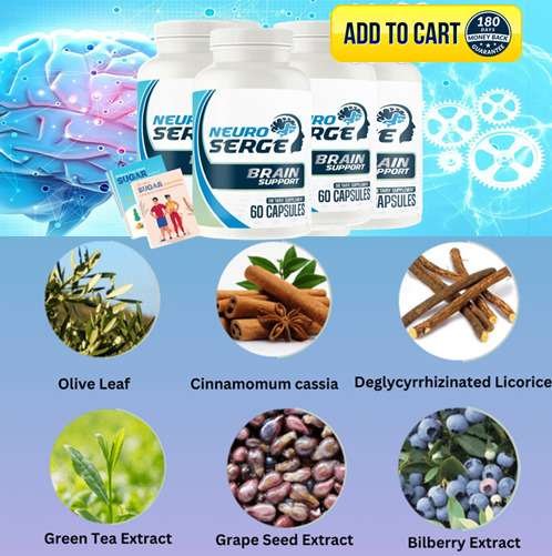 Neuro Serge Ingredients